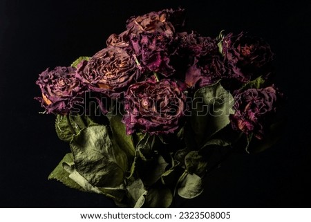 Rose bouquet in black background in studio