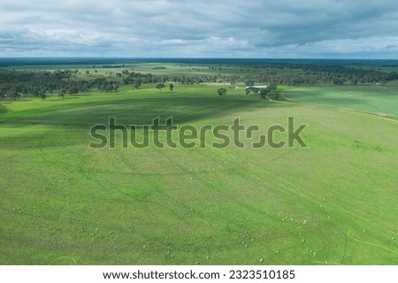 Agricultural pivot on a regenerative agriculture farm. Sustainable agriculture in Australia. Round pivot. Circular cropping. 