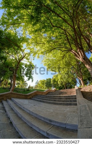 Trees in the city park. Wide angle view of park, no people. Green park take a photo with fisheye lens. Fish-eye photo
