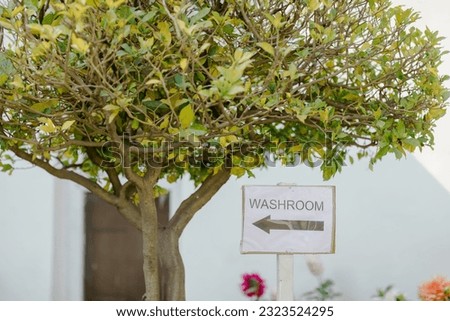 A washroom sign board near the plant