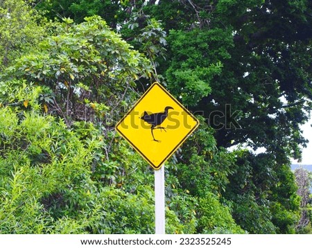A bird sign on the road against the forest in Pukeko, New Zealand