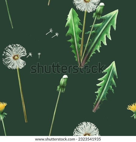Watercolor seamless pattern with dandelions flowers and green leaves. Hand painting clipart botanical meadow illustration n a white isolated background. For designers, decoration, postcards, wrapping