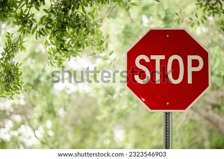 A red octagonal stop sign in the foreground of a lush, green forest