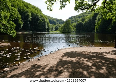 A peaceful lake shimmers under the sun, mirroring the lush forest that graces its backdrop. This captivating photo encapsulates the tranquil beauty of nature in a single frame