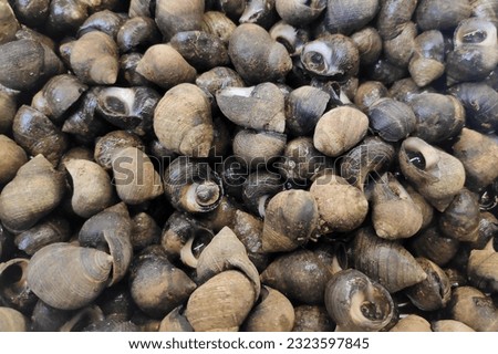 A bunch of periwinkles for sale at a market stall. Royalty-Free Stock Photo #2323597845