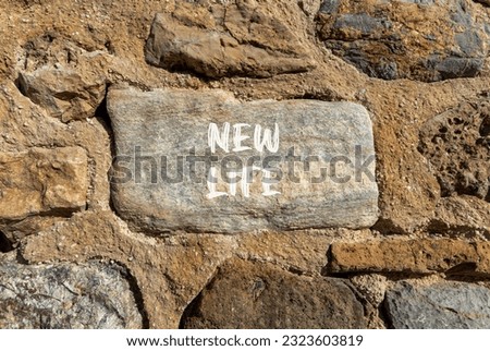 New life symbol. Concept words New life on beautiful stone on a beautiful stone wall background. Business, support, motivation, psychological and new life concept. Copy space.