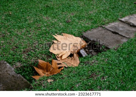 piles of garden leaves inside the waterways of the grass area