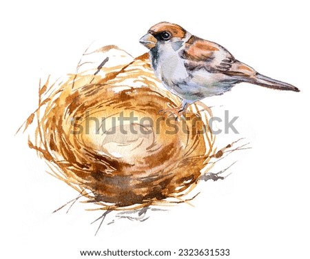 Watercolor bird with nest painting. Family concept design. Nature concept clipart. Spring bird illustration.Sparrow artwork.
