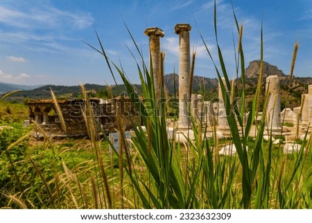 The Temple of Artemis, Sardes (Sardis) Ancient City - Manisa, Turkey