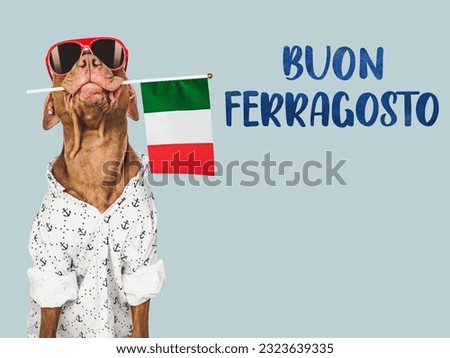 Buon Ferragosto - happy mid-August. Cute dog and Italian Flag. Closeup, indoors. Studio photo. Congratulations for family, loved ones, relatives, friends and colleagues. Pets care concept