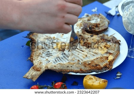 grilled flounder fish with garlic mayo sauce, cherry tomato and lemon close up photo 