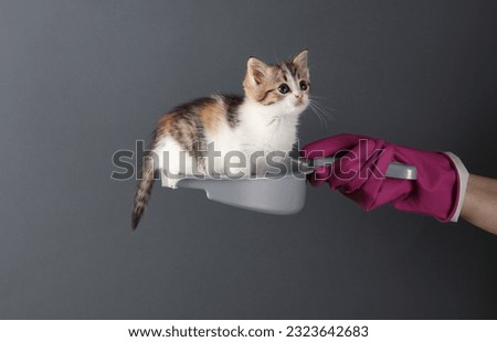 Woman in rubber glove holds cute cat on scoop. Humorous scene