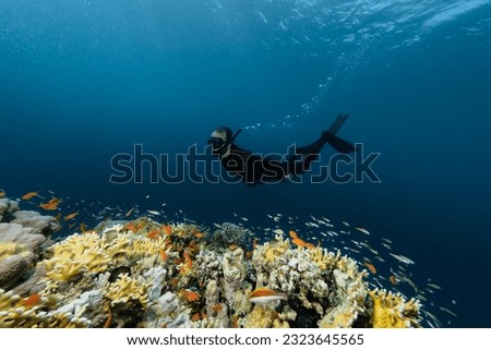 Free diver swimming into the deepness with corals. Young man practising apnea. Royalty-Free Stock Photo #2323645565