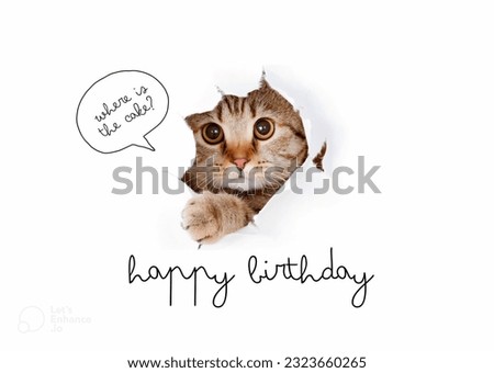 Cat Birthday Card For Used On Presents And Is Made For Commercial Use Only.