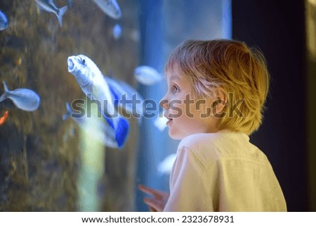 Little boy watches fishes in aquarium. Child exploring nature. Elementary student is on excursion in seaquarium. Biology lessons. Royalty-Free Stock Photo #2323678931