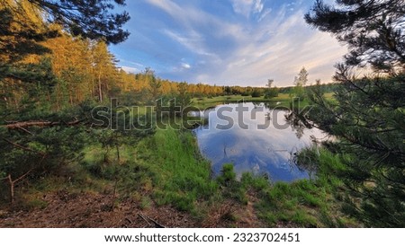 picturesque natural landscape of a forest lake on a summer evening, the high blue sky is reflected in the calm surface of the water, forest, pines, birches, panoramic photography
