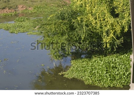 This is a nature picture. There is a nice natural place. Green trees, blue sky, and nice water are awesome outlooks. The picture was taken during summer vacation. the drying up of the river.