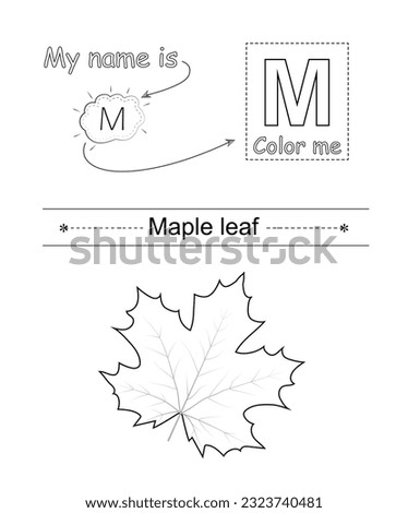 Color the letter and picture. Educational children game. Coloring alphabet. Letter M and maple leaf.