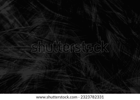 Beautiful black feather pattern  texture background