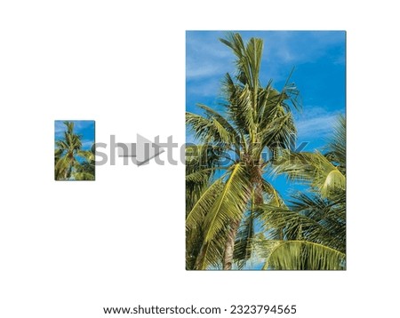 Example of AI Photo upscaling technology - A small picture of a coconut tree on the left, and 4x enlarged version on the right. Image Upscaler app.