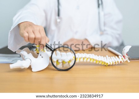 Doctor with human Spine anatomy model. Spinal Cord Disorder and disease, Back pain, Lumbar, Sacral pelvis, Cervical neck, Thoracic, Coccyx, Orthopedist, chiropractic, Office Syndrome and health Royalty-Free Stock Photo #2323834917