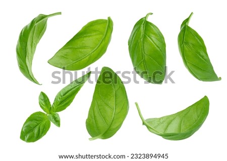 Set of flying basil leaves on white background with clipping path. Royalty-Free Stock Photo #2323894945