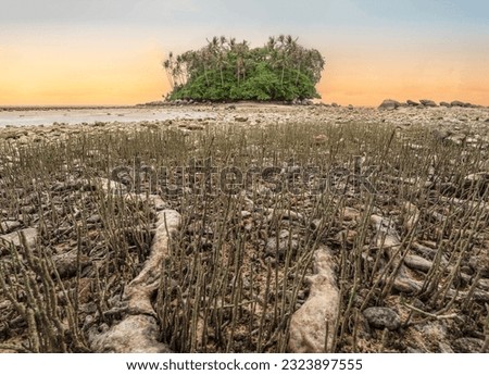 Island and foreground tree root in sunset sky moment