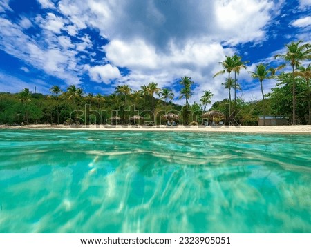 Honeymoon Beach on St. Thomas, USVI in US Virgin Islands - travel concept Royalty-Free Stock Photo #2323905051