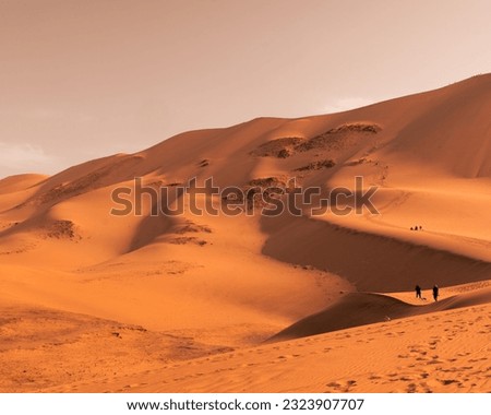 Gobi desert in Mongolia, 몽골 고비사막의 모래언덕 Royalty-Free Stock Photo #2323907707