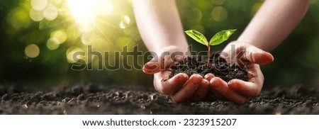 Close up of a plant in a child's hands. Ecological concept with green sunny background