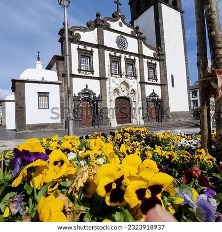 Beautiful Ponte Delgada Scenery and Architecture Behind a Bed Of Flowers on a bright day, Sao Miguel, Azores, Portugal. Typical White Buildings