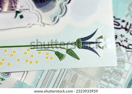 Closeup new Egyptian 20 EGP LE twenty polymer pounds cash money banknote bill with Mohamed Ali Mosque, adorned with tactile ADA Braille dots, queen Cleopatra, Great Pyramid, pharaonic military chariot