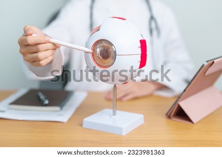 Doctor with human Eye anatomy model with magnifying glass. Eye disease, Refractive Errors, Age Related Macular Degeneration, Cataract, Diabetic Retinopathy, Glaucoma, Amblyopia, Strabismus and Health Royalty-Free Stock Photo #2323981363