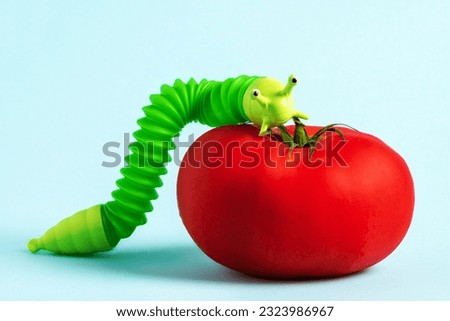 Large green plastic worm toy on ripe red tomato. Pests on plants concept.