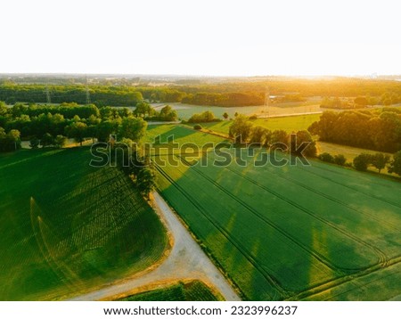 Aerial drone shot of agricultural fields of wheat , corn and other in sunny summer day. Countryside landscape Germany