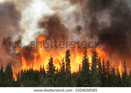 Alaska wildfires up close and personal Royalty-Free Stock Photo #2324038585