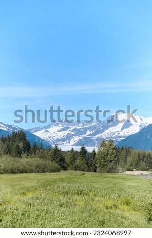 Snow-covered mountain in the background of the grass field.