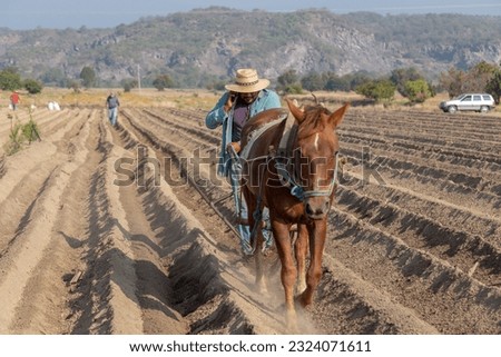 Blending the Old and the Modern: Farmer Plowing the Field with a Horse While Making a Call on His Smartphone
