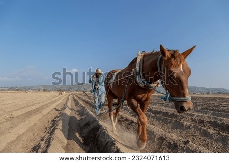 Balancing the Past and the Present: Farmer Plowing with a Horse While Staying Connected with His Smartphone