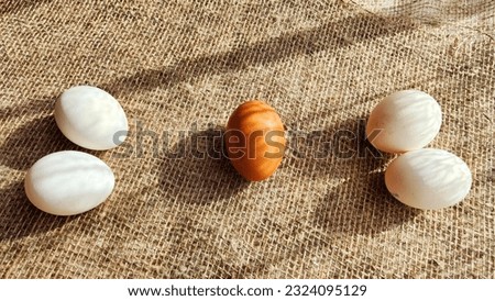 Many white eggs and one brown egg on rag jute cloth. Concept of individuality, exclusivity. Bullying, group and confrontation. Leadership and confidence. Agricultural Production of eggs, incubator