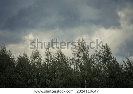 Clouds with rain have darkened to rain. Visible trees in the wind. Soft selective focus. Royalty-Free Stock Photo #2324119647