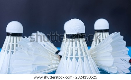 Badminton shutter cocks on dark background                               