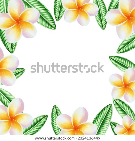 Watercolor frame realistic tropical illustration of plumeria flowers with leaves isolated on white background. Beautiful botanical hand painted frangipani clip art. For designers, spa decoration, post