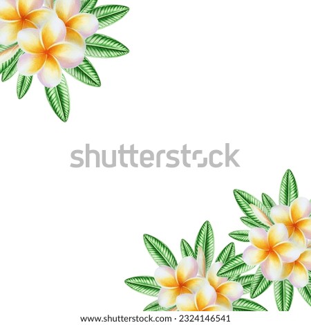 Watercolor frame realistic tropical illustration of plumeria flowers with leaves isolated on white background. Beautiful botanical hand painted frangipani clip art. For designers, spa decoration,