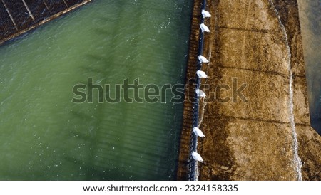 Aerial view of white birds sitting on the fence