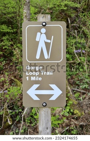 A close view of the brown and white trail sign in the park.