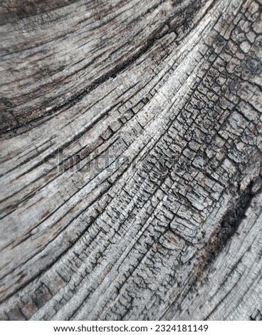 Macro photo of wooden texture for background