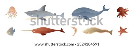 Ocean Underwater Animals with Jellyfish, Shark, Whale, Octopus, Shrimp, Starfish and Narwhale Vector Set