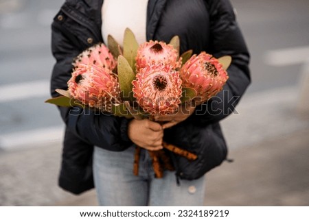 Exclusive blossoming bouquet of pink Protea artichoke flowers in hands of woman. Burred background. Cropped photo