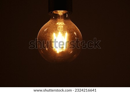 in the picture you can see an old beautiful light bulb which contrasts with the dark background.